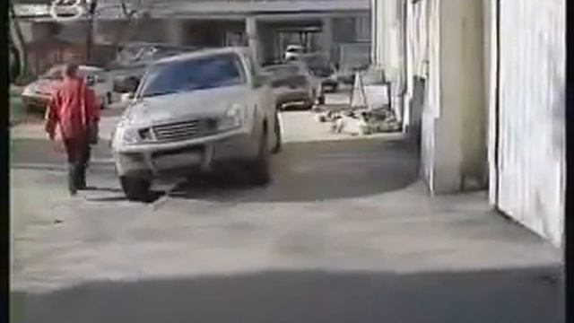 Зоозащитники требуют начать отлов собак