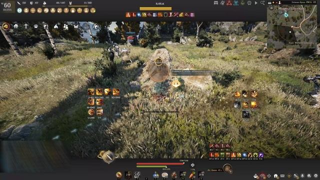 BDO DeadEye Test Arsha
