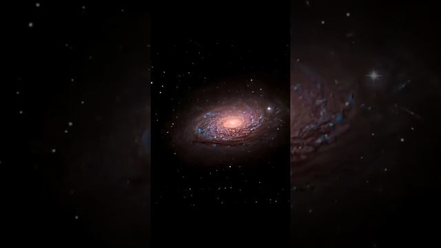 Sunflower galaxy.