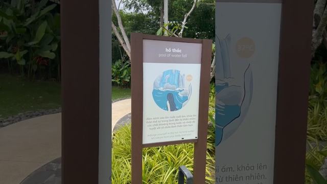 #рекомендации #влог #вьетнам #водопад #рек #бассейн #ванна смотреть онлайн