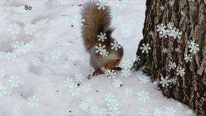 Поздравление с Новым 2025 годом!