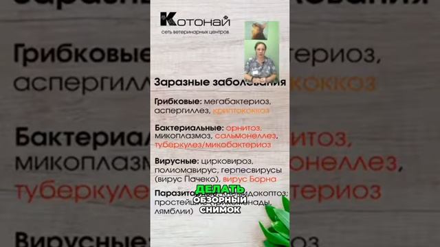 Как управлять хроническими заболеваниями у птиц