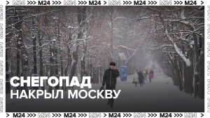 Снегопад накрыл Москву 31 декабря - Москва 24