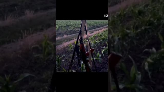 В ожидании
