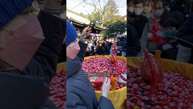 Как японцы празднуют Новый год: традиции, о которых вы не знали! 🍱🎍 #япония  #новыйгод  #2025