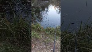 Рыбалка 16.09