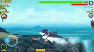 Hungry Shark Evolution играем за белую акулу!