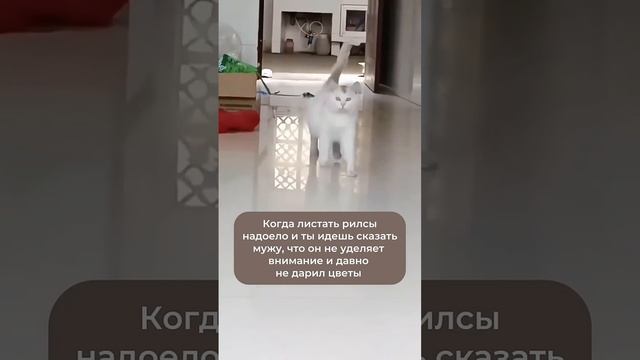 🤣🤣🤣