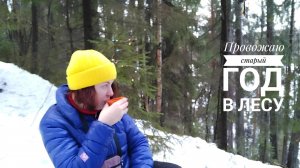 Провожаю старый год в лесу