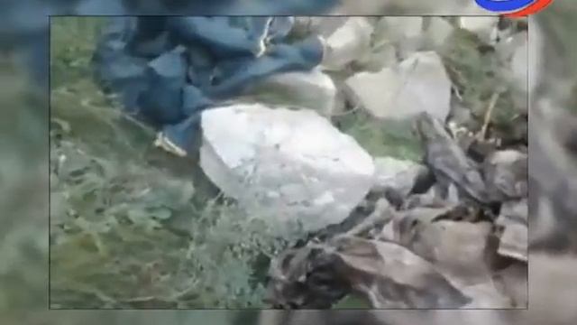 Близ села Чирката обнаружен скелет и паспорт гражданина Венгрии Торока Петера Жолта