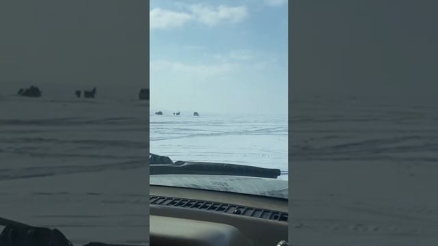 Судаковые маньяки выжидают свою ЖЕРТВУ! Рыбалка на Судака ОВХ #судакнавибы #судакзимой #судак смотреть онлайн