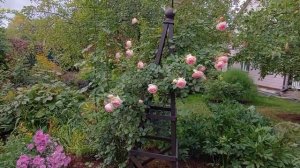 Сентябрьская прогулка по саду. Планы реконструкции, что сделано, что впереди.