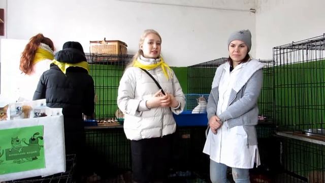 Лапку дай! смотреть онлайн