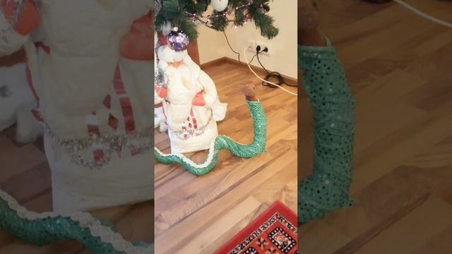 Год деревянной зелёной змеи 🐍 🎄