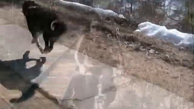 Велопоход в Галич. В.Воронков смотреть онлайн