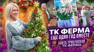 ИТОГИ 2024