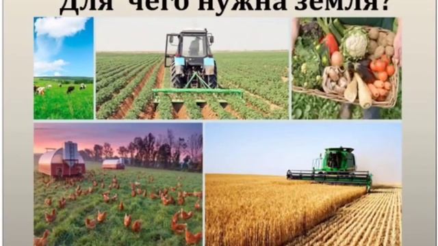 Живи, Земля!