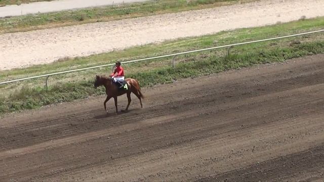 14.08.2016. Алматинский ипподром. Люксембург 2014 Сарем - Ландара
