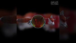 группа КИНО - песня без слов