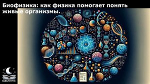 Биофизика: как физика помогает понять живые организмы.