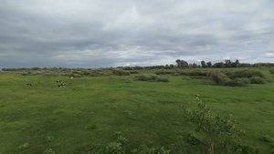 природа 🌳лайк❤️ #подпишись