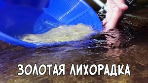 Записки Сибирского Натуралиста 5/18. Золотая лихорадка
