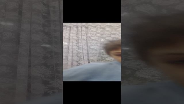 табалапки