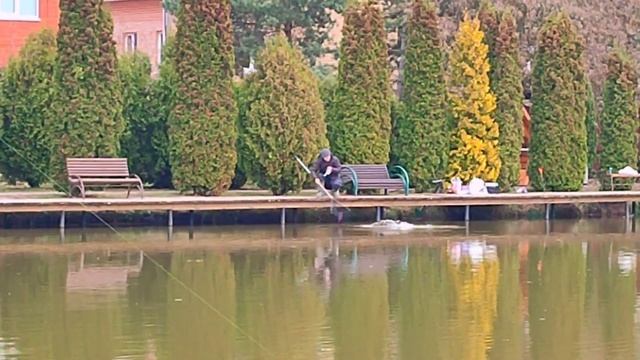 3 ноября 2023 г. смотреть онлайн