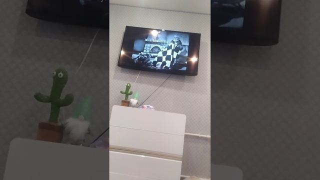 спокойной ночи малыши и спят усталые игрушки 1964 году смотреть онлайн