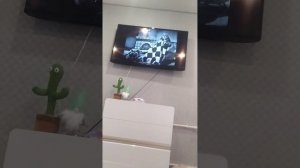 спокойной ночи малыши и спят усталые игрушки 1964 году