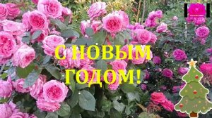 С НОВЫМ ГОДОМ!
