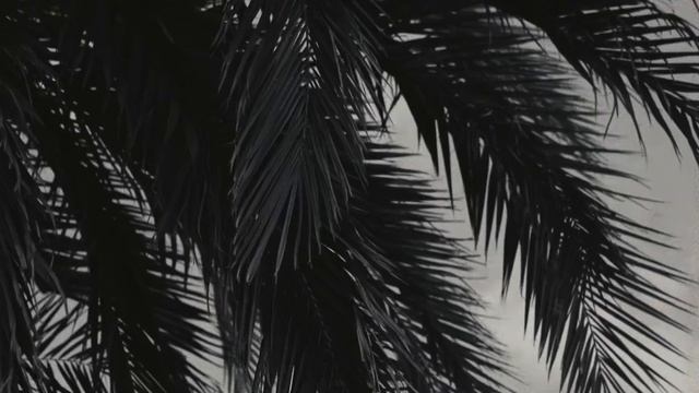 ZARINA. NEW LOOKBOOK. SUMMER 2024 смотреть онлайн