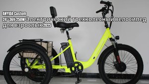 ANYIDA Custom 24" 36V 250W электрический трехколесный велосипед для взрослых 2025