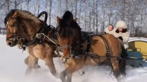 Евгений Данилов "Тройка"