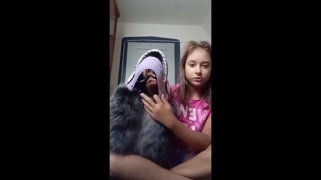 ТУТОР НА МАСКУ РАПТОРА(ДРУГУЮ)