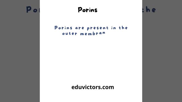 Biology Quiz: What are Porins? What are their roles in diffusion? #biologyquiz #biology #neet