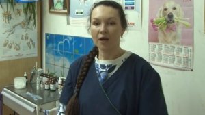 ВЕТЛЕЧЕБНИЦА 10 ЛЕТ В ЦЕНТРЕ ГОРОДА