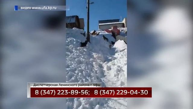 Короткие новости 03 04 17 смотреть онлайн