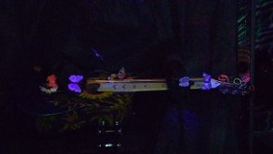 Бабочки. Исполняет ансамбль "Настроение".