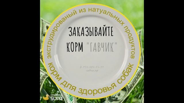 Корм для собак "ГАВчиК" смотреть онлайн