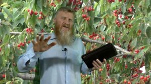 (кгю) ?איפה אחיך  ОКАЗЫВАЕТСЯ, ЧТО ХРИСТИАНЕ, УЖЕ СОВСЕМ НЕ ХРИСТИАНЕ!  КТО ТВОЙ УЧИТЕЛЬ!