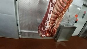 ОБВАЛКА ГОВЯДИНЫ! расчленовка ПЕРЕДНЕЙ ЧЕТВЕРТИ!1
