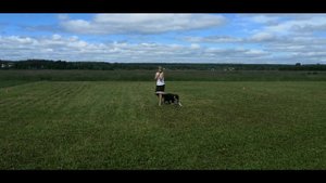 Master Freestyle. Vershinina Natalia ans Luk. You are my disease. Мастер фристайл ВершининаН. и Лю