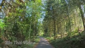 4К Живописная поездка по холмам Эмменталя, по дороге из Сигнау в Шангнау, Швейцария! 4К 60fps UHD