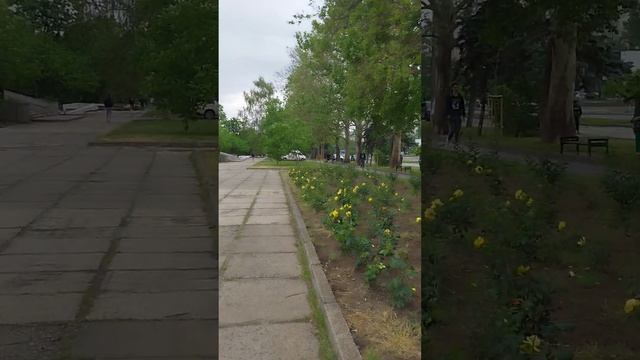 Кишинёв  Ботаника саммит это не заметит, а здесь так за столько лет ничего не изменилось