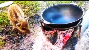 САМЫЙ ЛУЧШИЙ КАЗАН  ДЛЯ ВЫЖИВАНИЯ В ДИКОЙ ТАЙГЕ В ПОХОДЕ НА РЫБАЛКЕ И НА ОХОТЕ