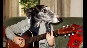 доктор вколи мне морфий