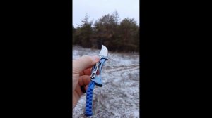 Единорог Асахейма