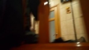 влог приехали Лиза с Никитой