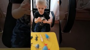 зверушки на опушке от Димы